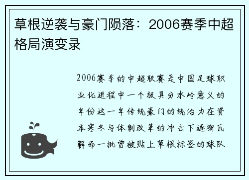 草根逆袭与豪门陨落：2006赛季中超格局演变录